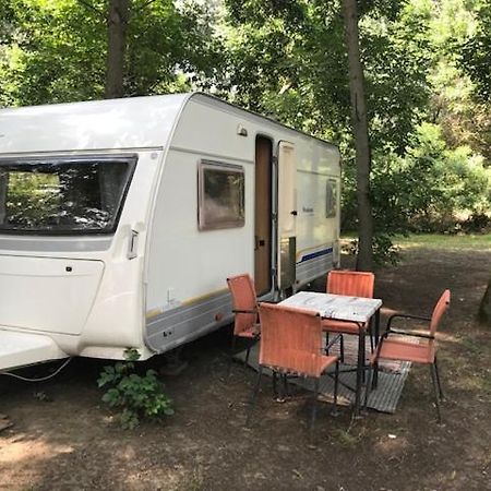 Tisza-Beach Wild Camping4 แซแก็ด ภายนอก รูปภาพ
